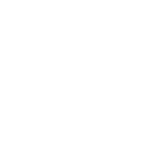 African Women Alliance logo in white